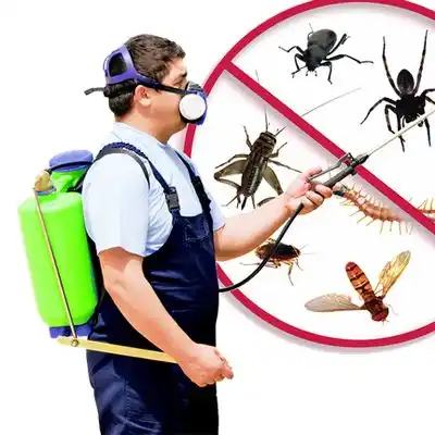 pest control Edwardsburg